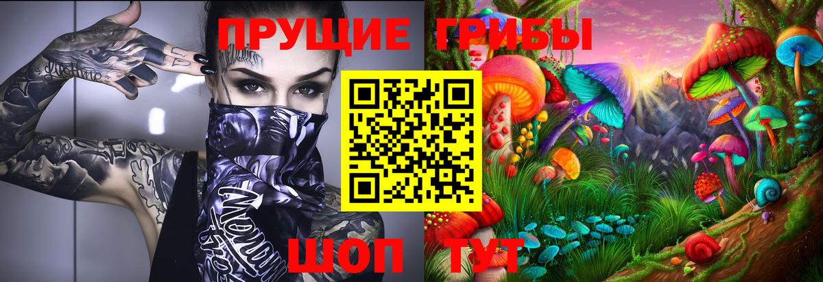 Псилоцибиновые грибы мицелий  Псилоцибиновые грибы Cubensis  Будённовск  Вход с VPN 
