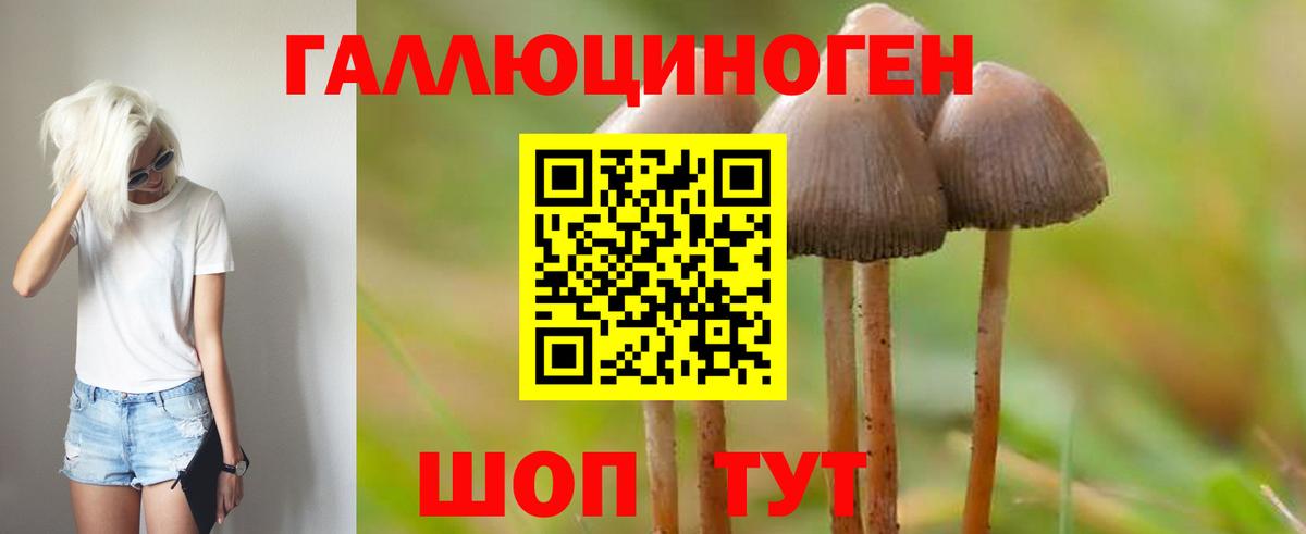 Галлюциногенные грибы GOLDEN TEACHER Будённовск