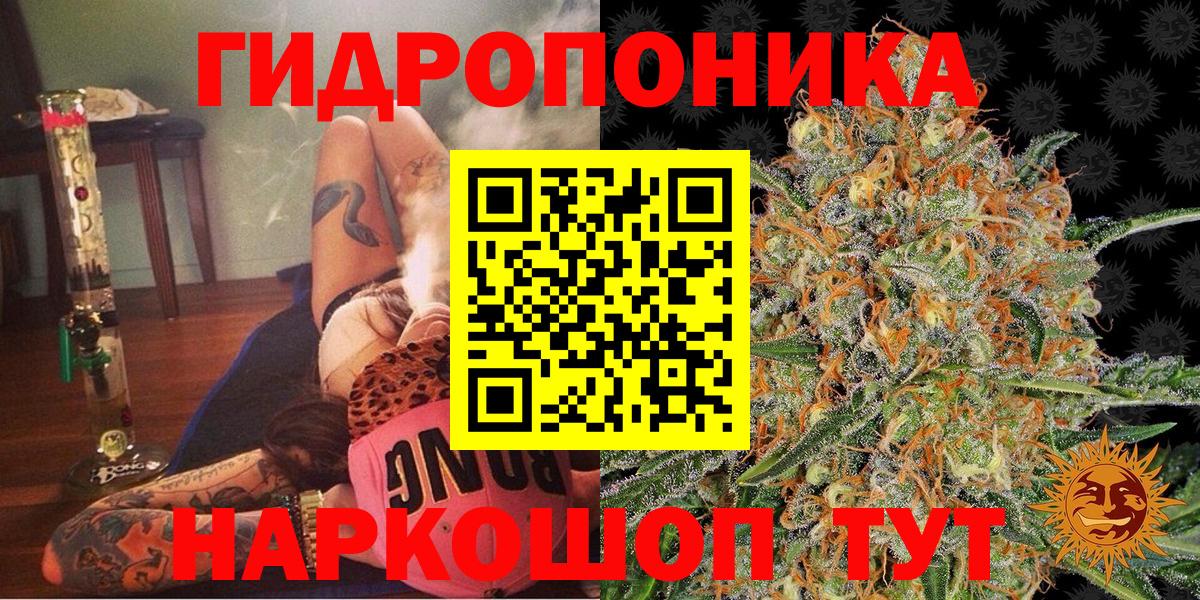 Марихуана сатива  МАРИХУАНА конопля  Будённовск  Вход с VPN 